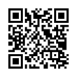 QR Code (код быстрого отклика)