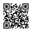 QR Code (код быстрого отклика)
