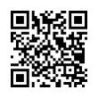 QR Code (код быстрого отклика)