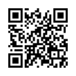 QR Code (код быстрого отклика)