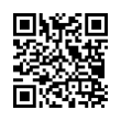 QR Code (код быстрого отклика)