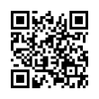 QR Code (код быстрого отклика)