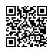 QR Code (код быстрого отклика)