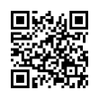 QR Code (код быстрого отклика)
