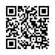 QR Code (код быстрого отклика)