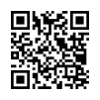 QR Code (код быстрого отклика)