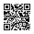 QR Code (код быстрого отклика)