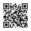 QR Code (код быстрого отклика)