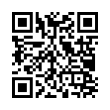 QR Code (код быстрого отклика)