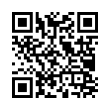 QR Code (код быстрого отклика)