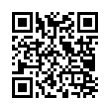 QR Code (код быстрого отклика)