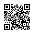 QR Code (код быстрого отклика)