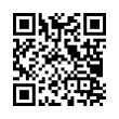 QR Code (код быстрого отклика)