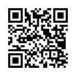 QR Code (код быстрого отклика)