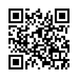 QR Code (код быстрого отклика)