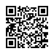 QR Code (код быстрого отклика)