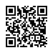 QR Code (код быстрого отклика)