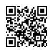 QR Code (код быстрого отклика)