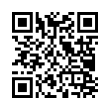 QR Code (код быстрого отклика)