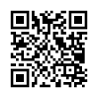 QR Code (код быстрого отклика)