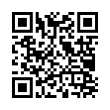 QR Code (код быстрого отклика)