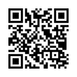 QR Code (код быстрого отклика)