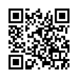 QR Code (код быстрого отклика)