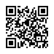 QR Code (код быстрого отклика)