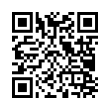 QR Code (код быстрого отклика)