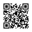 QR Code (код быстрого отклика)