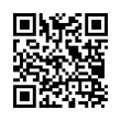 QR Code (код быстрого отклика)