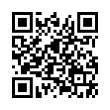QR Code (код быстрого отклика)