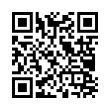 QR Code (код быстрого отклика)