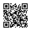 QR Code (код быстрого отклика)