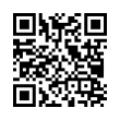 QR Code (код быстрого отклика)