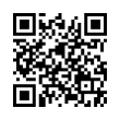 QR Code (код быстрого отклика)