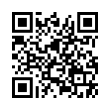 QR Code (код быстрого отклика)