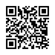 QR Code (код быстрого отклика)