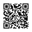 QR Code (код быстрого отклика)