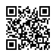 QR Code (код быстрого отклика)