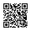 QR Code (код быстрого отклика)