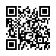 QR Code (код быстрого отклика)