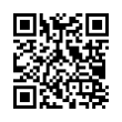 QR Code (код быстрого отклика)