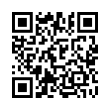 QR Code (код быстрого отклика)