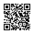 QR Code (код быстрого отклика)