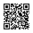 QR Code (код быстрого отклика)