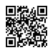 QR Code (код быстрого отклика)