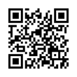 QR Code (код быстрого отклика)