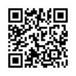 QR Code (код быстрого отклика)