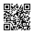 QR Code (код быстрого отклика)